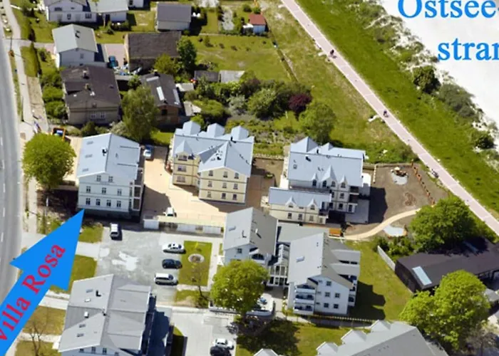 Rosa 5 Comfortable غلوفي